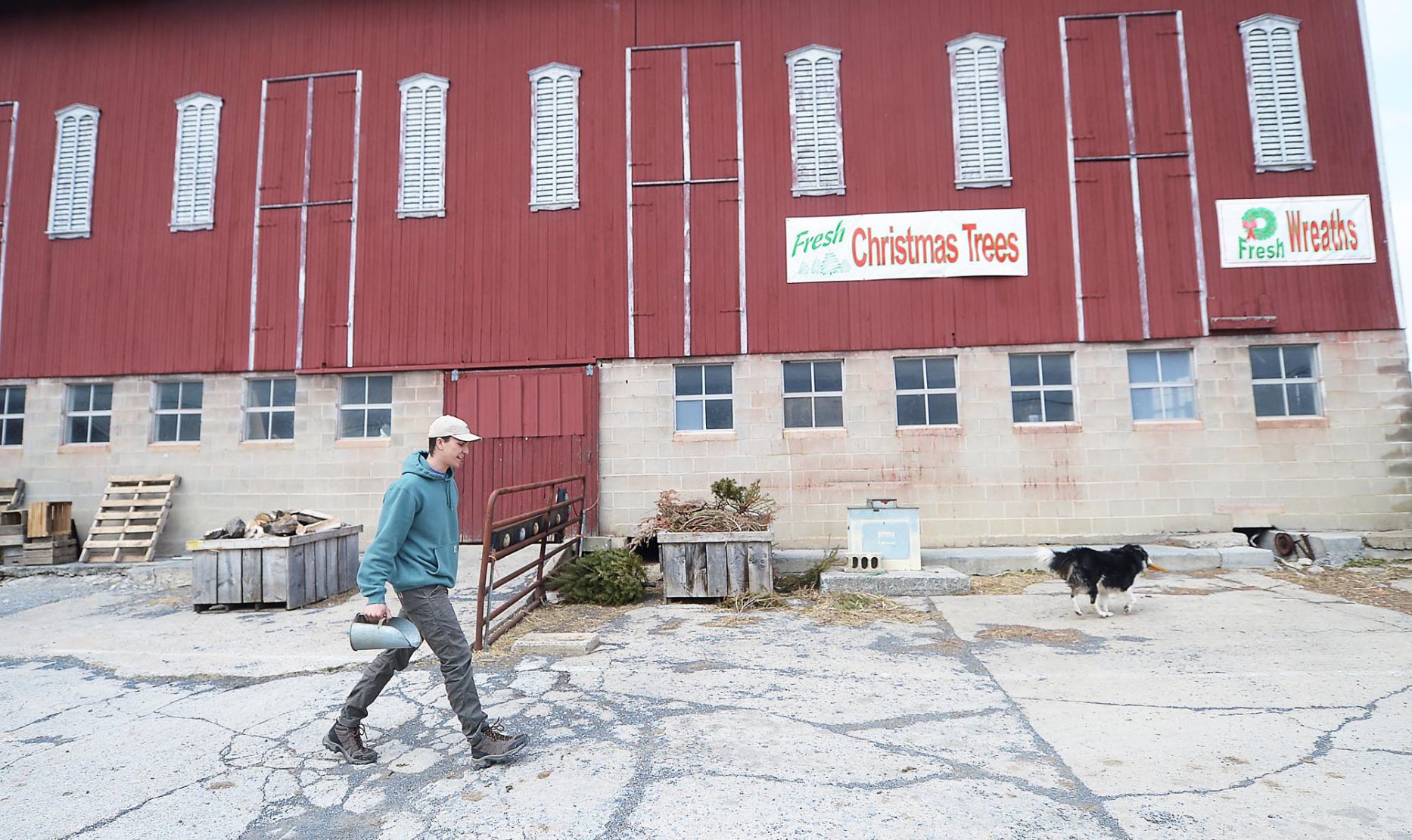 Basehore Family Farm